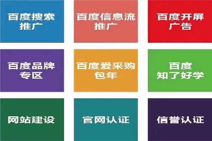 sem百度竞价实战：成功案例解析